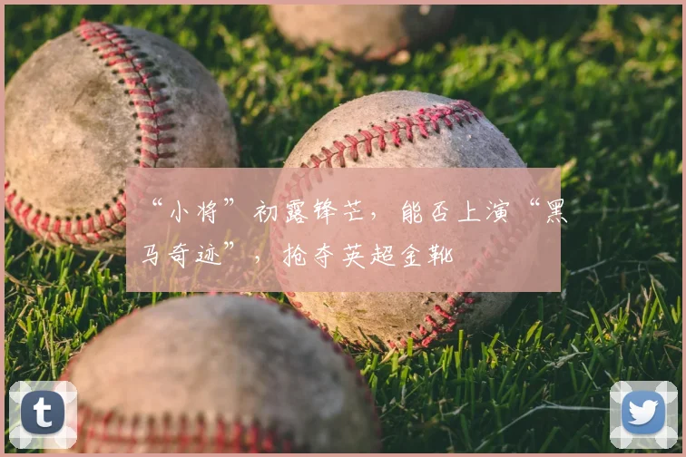 “小将”初露锋芒，能否上演“黑马奇迹”，抢夺英超金靴