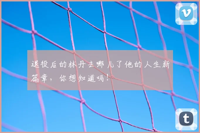 退役后的林丹去哪儿了他的人生新篇章，你想知道吗！